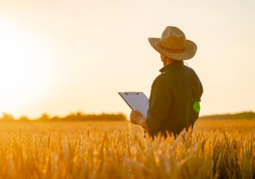 Transformação no campo: impacto da governança corporativa no agronegócio
